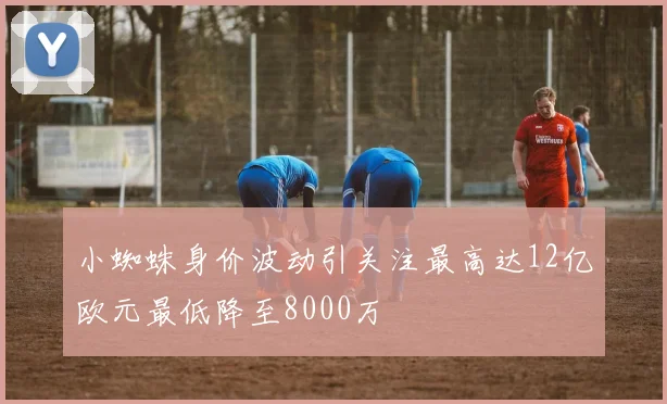 小蜘蛛身价波动引关注最高达12亿欧元最低降至8000万
