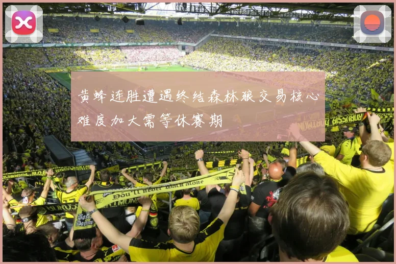 黄蜂连胜遭遇终结森林狼交易核心难度加大需等休赛期